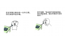 黔东南黔东南的要账公司在催收过程中的策略和技巧有哪些？